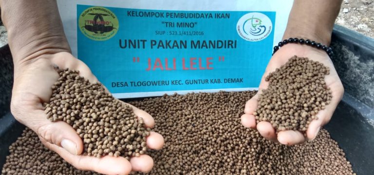 Jali Lele Pakan Mandiri Asal Demak Berbahan Baku Lokal Mediatani