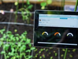 Ini Dia Aplikasi Android Yang Bisa Bantu Petani