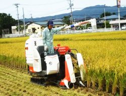 Mari Sontek Keunggulan Sektor Pertanian di Negeri Sakura