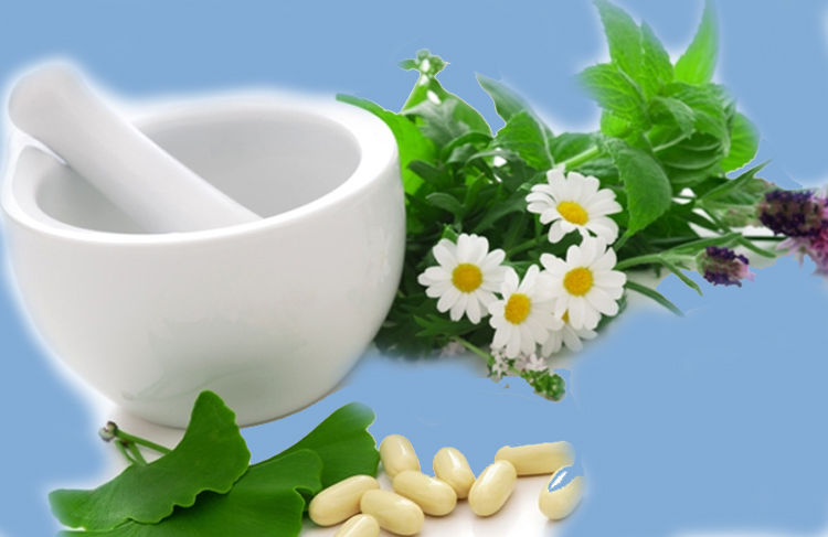 tanaman obat herbal diabetes