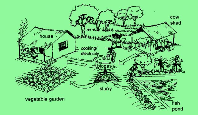 Mengapa Harus Mengembangkan Integrated Farming System di 