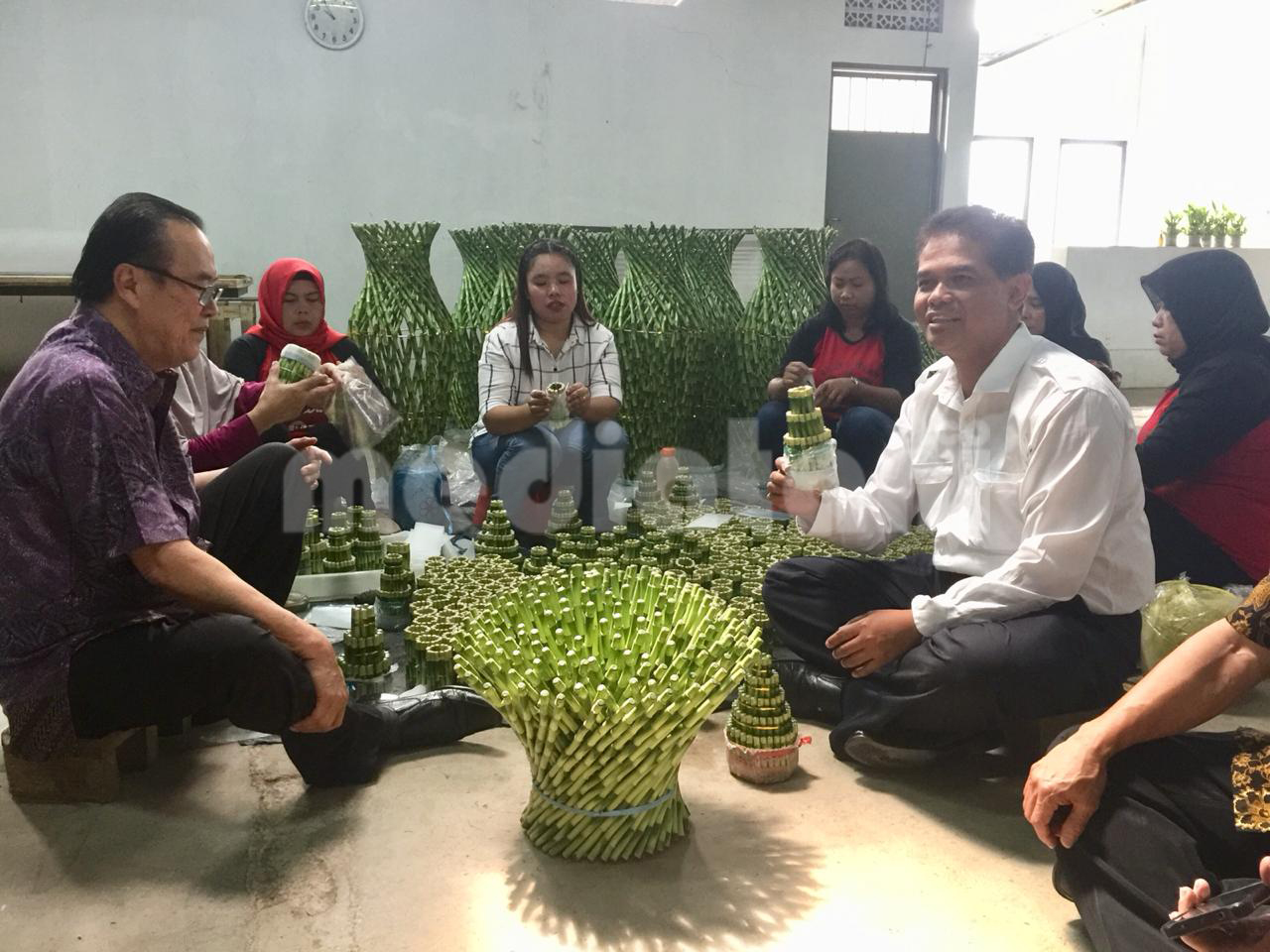 Dirjen Hortikultura Kementan, Suwandi saat berkunjung ke sentra produksi tanaman suji Sukabumi (dok. Kementan)
