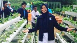 IDAWATI, Kandidat Doktor Ilmu Penyuluhan Pembangunan, FEMA Institut Pertanian Bogor, serta Dosen pada Fakultas Pertanian Universitas Andi Djemma Palopo, Sulawesi Selatan