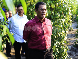 Mentan Andi Amran Sulaiman Lepas Ekspor Lada Asal Belitung ke Belasan Negara