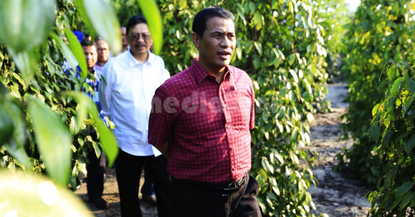 Menteri Pertanian, Andi Amran Sulaiman meninjau lahan perkebunan lada di Desa Air Seruk, Kecamatan Sijuk, Belitung, Sabtu (4/5/2019)