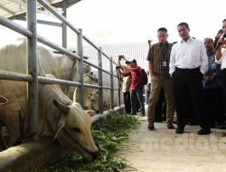 Menteri Pertanian Apresiasi Peternak Sapi Potong di Jawa Timur