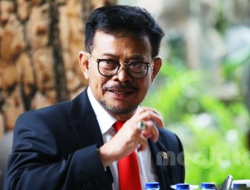 Kuatkan Pertanian Merauke, Mentan Syahrul Yasin Limpo Target Ekspor Rp 200T