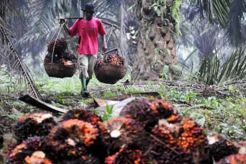 buruh nelayan dan juga petani