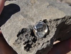 Temukan Berlian di Ladang, Petani Ini Mendadak Kaya
