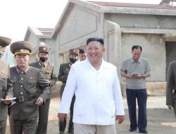 Disebut Sudah Ketinggalan Zaman, Kim Jong-un Bakal Modernisasi Peternakan Korut