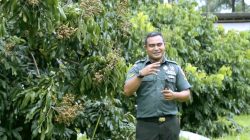 Serda Mugiyanto di Kebun Buah Borobudur (Youtube Kementan).