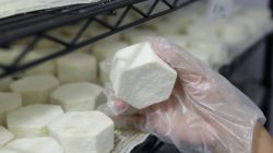 Proses produksi Rosalie Cheese