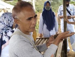 Bikin Iri, Petani Porang di Pangandaran Raup Untung Hingga Rp 3 Miliar