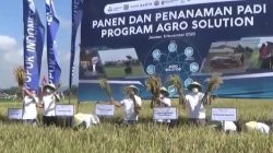 Kegiatan Pencanangan Program Pupuk Indonesia Grup dan Panen Agro Solution PT Pupuk Kaltim di Kabupaten Jember, Jawa Timur, Kamis, (5/11/2020).