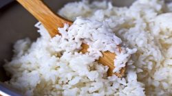 Nasi basi dapat digunakan menjadi pupuk tanaman