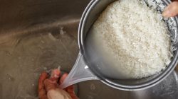 Air cucian beras