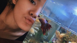 Sheryl Sheinafia dan ikan cupangnya