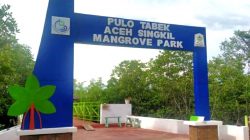 Taman Mangrove Pulo Tabek di Desa Gosong Telaga Selatan, Kecamatan Singkil Utara.