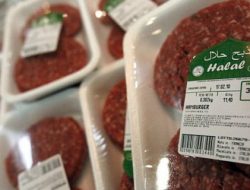 Permintaan Daging Ayam Halal Terus Meningkat, Kini Tersedia di Pasar Tradisional