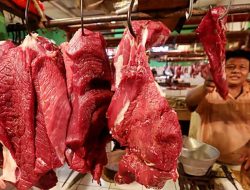 Kerjasama Internasional Ditengarai Mampu Turunkan Harga Daging