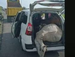 Warga Mengungsi karena Aroma Peternakan Bebek, hingga Pencurian Sapi Pakai Mobil Xenia di Aceh 