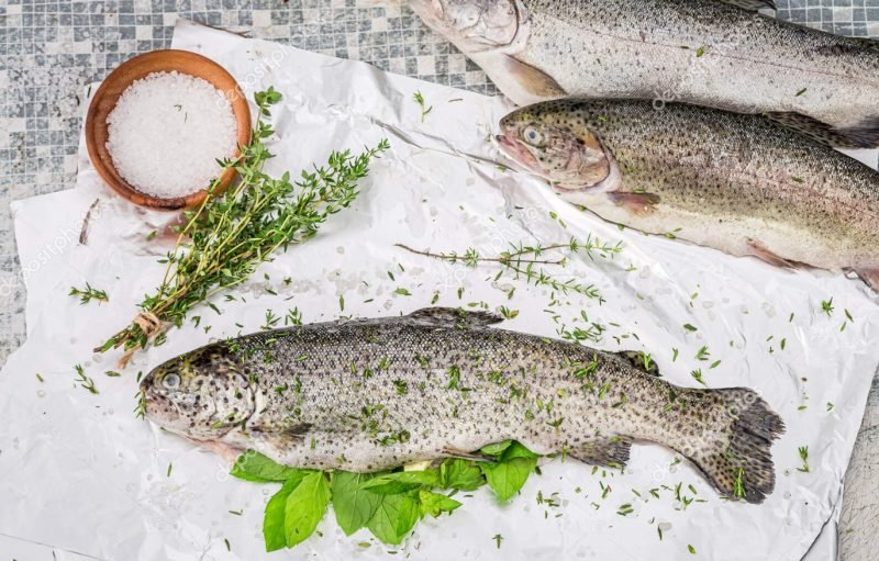 Ikan trout Mediatani