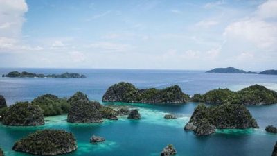 Akibat Kapal Kandas, 230 M Persegi Terumbu Karang di Raja Ampat Rusak