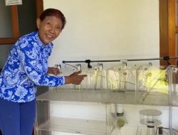 Susi Pudjiastuti Cari Sumbangan Ikan Cupang, Netizen: Kirimin Alamat Bu!