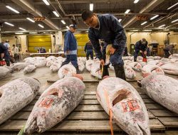 8 Negara Produsen Ikan Terbesar di Dunia