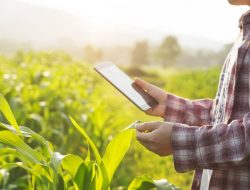 Aplikasi Ekosis dan BOS FARMER, untuk Kesejahteraan Petani