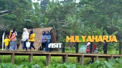 wisata-kampung-tematik-mulyaharja-bogor-qnssp8-prv