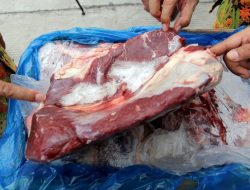 Daging Sapi Impor dari Brasil Tiba di RI