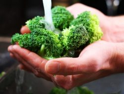 Mencuci Saja Tidak Cukup, Begini Cara Agar Ulat di Brokoli Keok