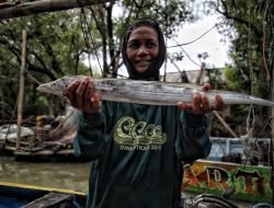 Kisah Nelayan Perempuan di Demak yang Sempat Diejek Hingga Ditabrak Kapal Cantrang