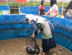 Berhasil Panen, KKP Optimis Bantuan Budidaya Ikan Bioflok Tingkatkan Kesejahteraan Masyarakat