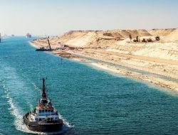 Terusan Suez Mengancam Kehidupan Ikan Asli Mediterania
