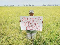 Kebijakan Impor Beras Membuat Petani Kecewa, INDEF: Kami Tolak Impor