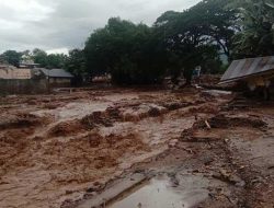 Banjir Siklon Tropis Seroja, Sebabkan Lahan Pertanian Warga Lembata Rusak Permanen