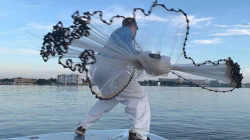 Cast nets