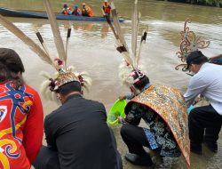 Sudah Tidak Beracun Lagi, Sungai Malinau Ditebari Benih Ikan