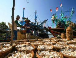 Tangkap Hingga 300 Ton Per Hari, Pati Masuk Tiga Tangkapan Ikan Terbesar Nasional