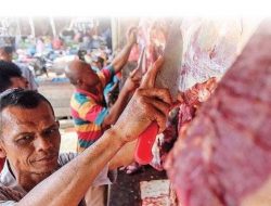 Aceh Besar Siapkan 4.570 Ekor Ternak untuk Tradisi Meugang