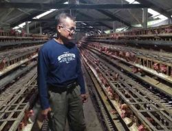 Inspiratif! Pensiunan PNS Abdikan Diri Bangun Sekolah hingga Peternakan Ayam