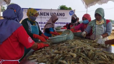 Tumbuhkan Ekonomi Masyarakat, KKP Andalkan Terobosan Balai Perikanan Budidaya