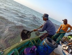 Terdampak Tumpahan Minyak di Laut, Begini Nasib Nelayan dan Petambak Karawang