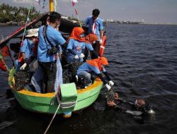 KKP Tebar 500 Kg Kerang Hijau di Perairan Ancol untuk Jernihkan Air Laut