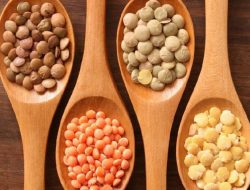 Lentil, Kacang Khas Timur Tengah yang Bisa Jadi Pengganti Nasi