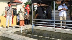 Menaker Ida Fauziyah saat meninjau lokasi budidaya lobster air tawar di Tasikmalaya