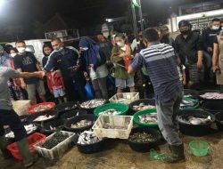 Pasar Ikan Balekambang Solo Kembali Bergeliat, Jenis Ikan Lebih Beragam dan Murah