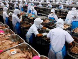 Produk Ikan Tuna Kalengan RI Sudah Lepas dari Pengawasan Intensif di Spanyol